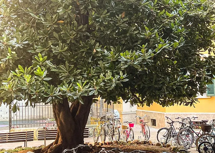 Divini Gae Aulenti